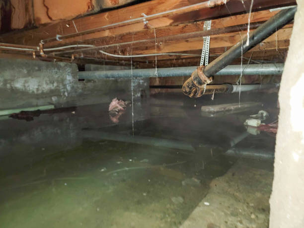Best Water damage restoration insurance claims  in Ballville, OH