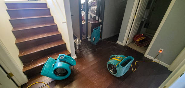 Professional Water damage restoration in Ballville, OH