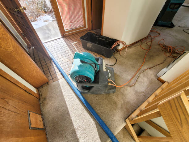 Best Water damage cleanup near me  in Ballville, OH