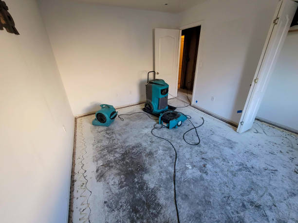 Best Commercial water damage restoration  in Ballville, OH