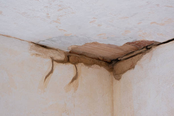 Best Water damage restoration near me  in Ballville, OH