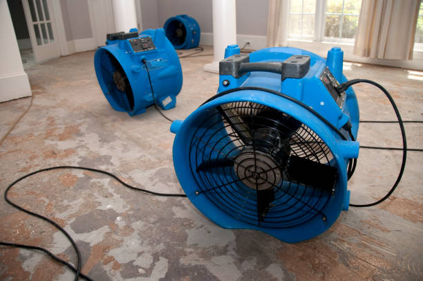 Best Flood restoration services  in Ballville, OH