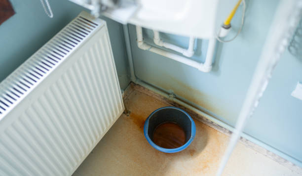 Best Local water damage restoration  in Ballville, OH