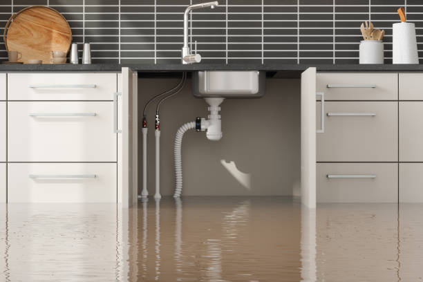Best 24-hour water damage restoration  in Ballville, OH