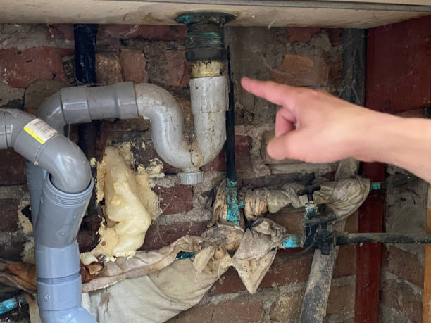  Ballville, OH Water damage restoration Pros