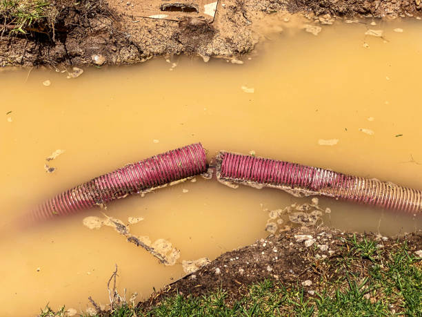 Best Residential water damage restoration  in Ballville, OH