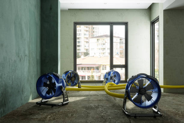 Fire Damage Restoration in Ballville, OH
