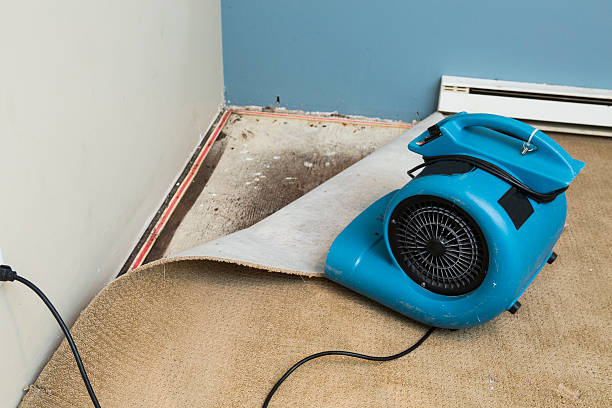 Best Basement water damage restoration  in Ballville, OH